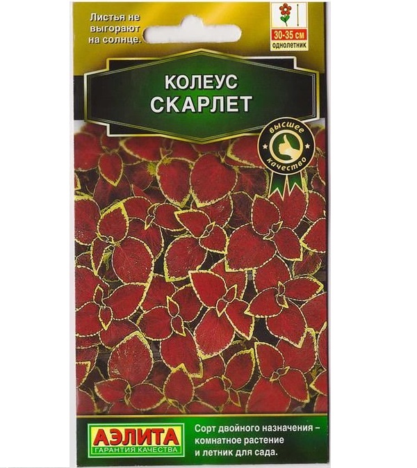 

Семена колеус Аэлита Блюме Скарлет 137337 1 уп.