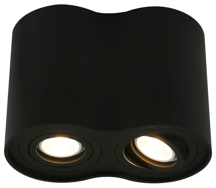 

Потолочный светильник ARTE LAMP Falcon A5644PL-2BK