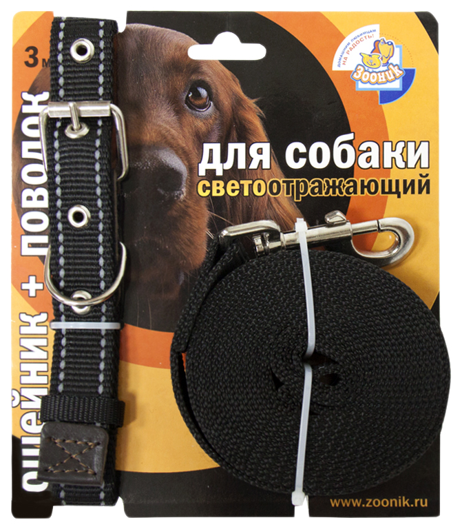 фото Ошейник и поводок для собак зооник, светоотражающий, капрон, черный, 25мм, 37-51 см и 3 м