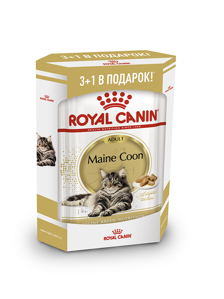 фото Влажный корм для кошек royal canin maine coon adult, мясо, 3+1шт по 85 г