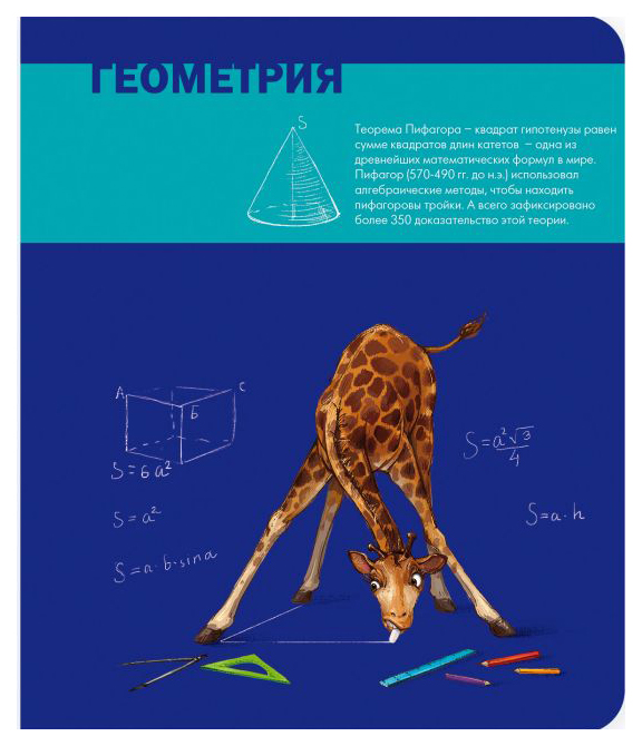 

Тетрадь шк. уч. темат. 44321/5 ГЕОМЕТРИЯ /48 л А5