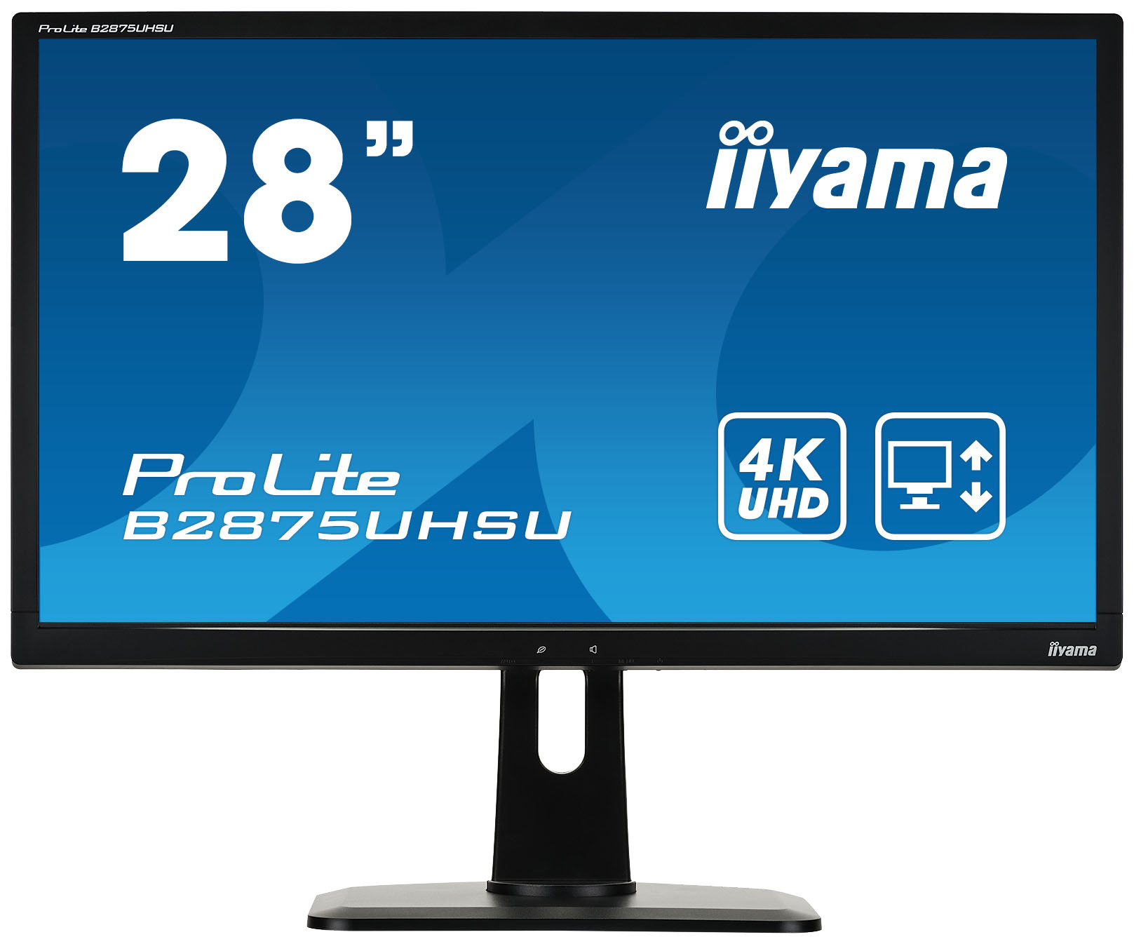 фото Монитор iiyama prolite b2875uhsu-b1