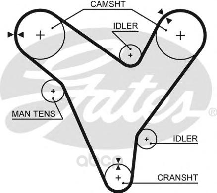 фото Ремень грм gates 5379xs