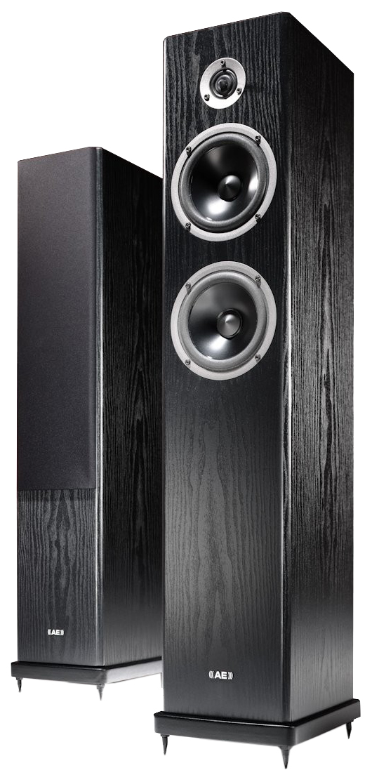 фото Колонки acoustic energy aegis neo three v2 black ash