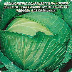 

Семена Капуста белокочанная Вестри F1, 12 шт, Плазмас, 53902