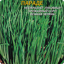 

Семена Лук на зелень Параде, 80 шт, Плазмас, 55027