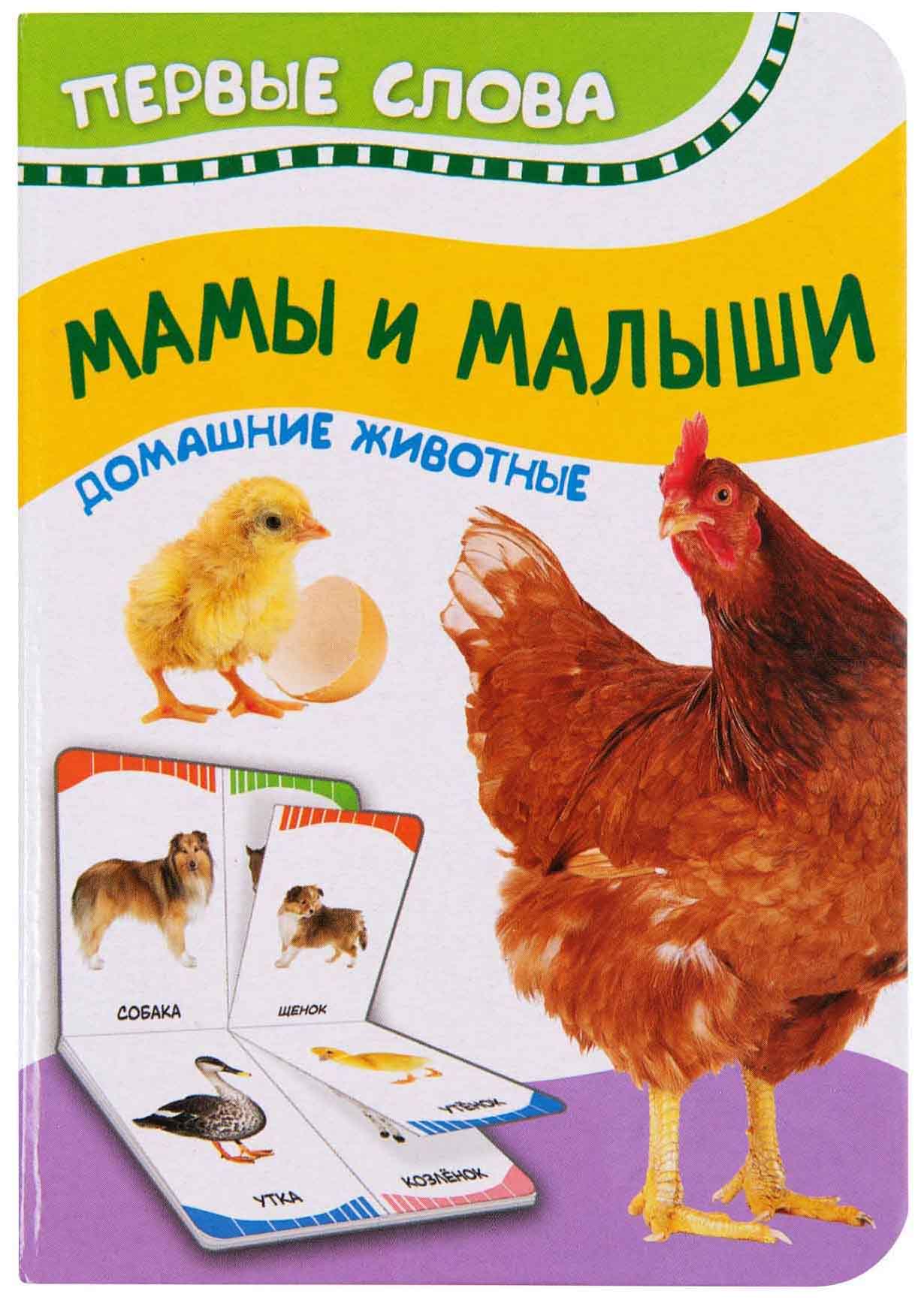 

Мамы и Малыши, Домашние Животные, первые Слова