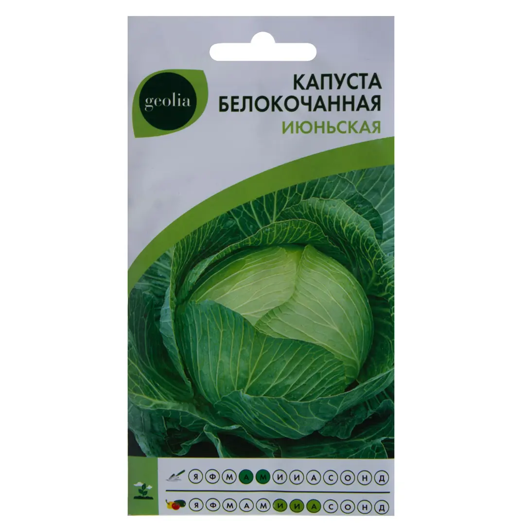 

Семена капуста белокочанная Июньская Geolia SSS-17585404 1 уп.