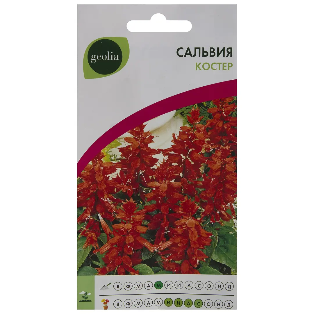 

Семена сальвия Костер Geolia SSS-17585501 1 уп.