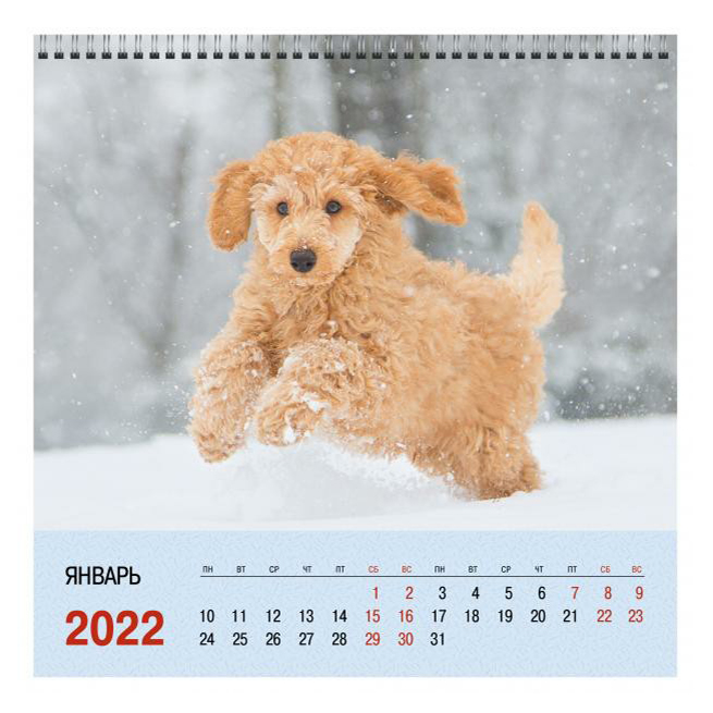 фото Календарь настенный перекидной listoff щенок на 2022 год на евроспирали 32 х 32 см