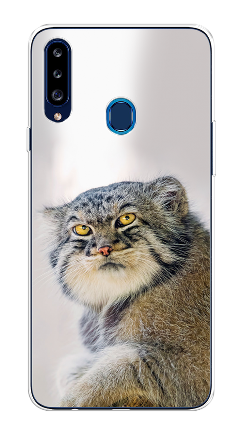 

Чехол на Samsung Galaxy A20s "Кот манул 1", Серый;белый;желтый, 2100850-1