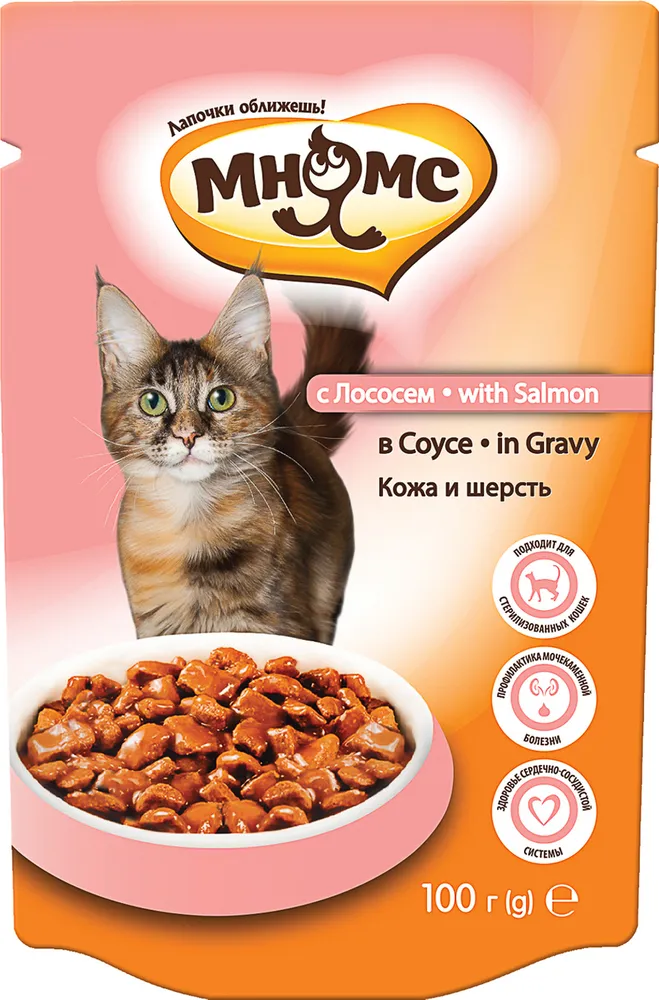 

Влажный корм для кошек Мнямс Кожа и шерсть, лосось в соусе, 24шт по 100г, Кожа и шерсть