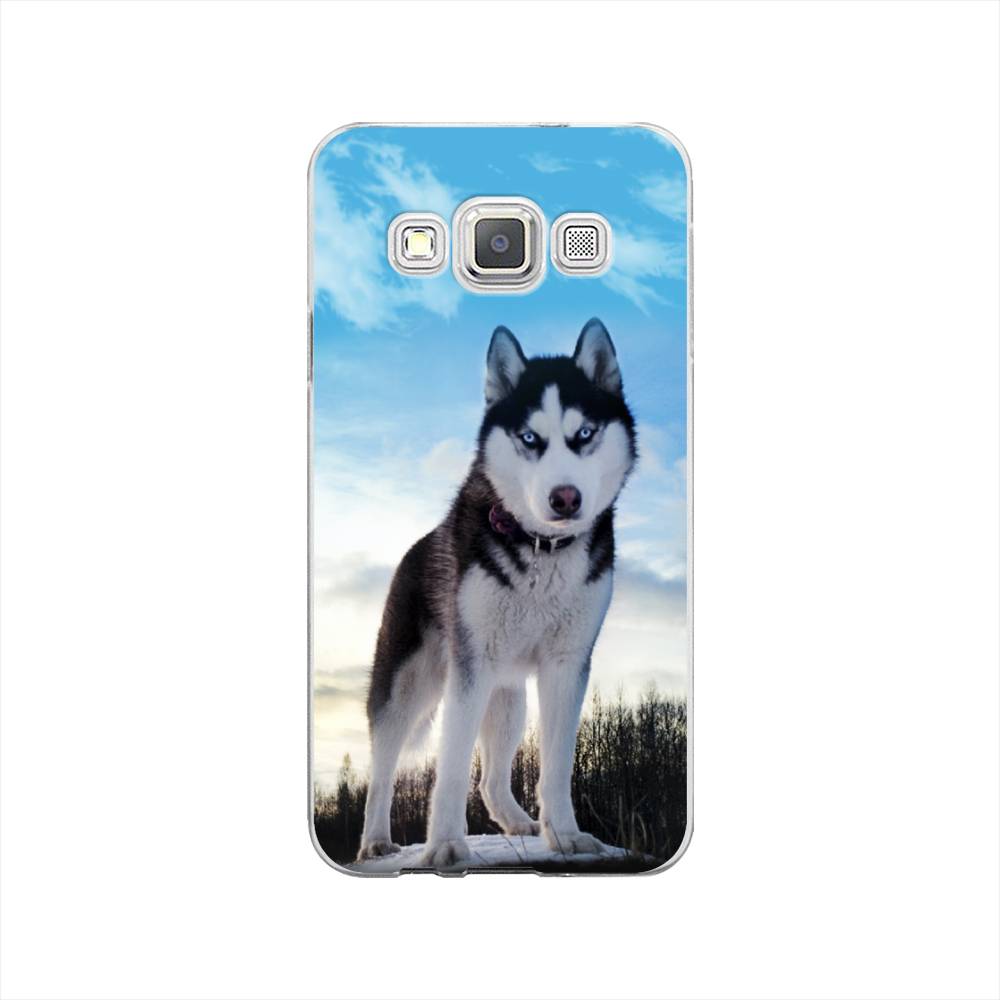 

Чехол Awog на Samsung Galaxy A3 / Самсунг A3 "Хаски 3", Белый;черный;голубой, 20150-2