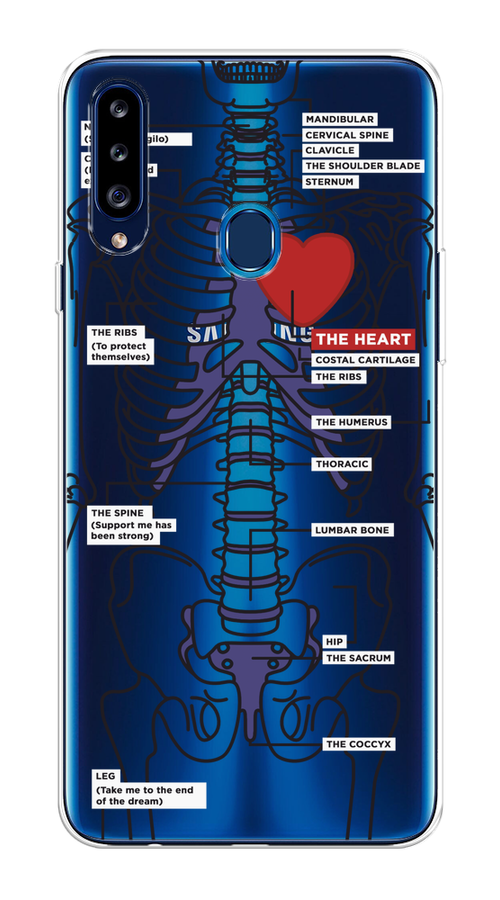 

Чехол на Samsung Galaxy A20s "Скелет человека", Прозрачный;синий;красный, 2100850-1