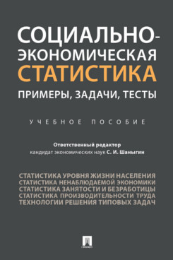 

Социально-экономическая статистика: примеры, задачи, тесты. Учебное пособие