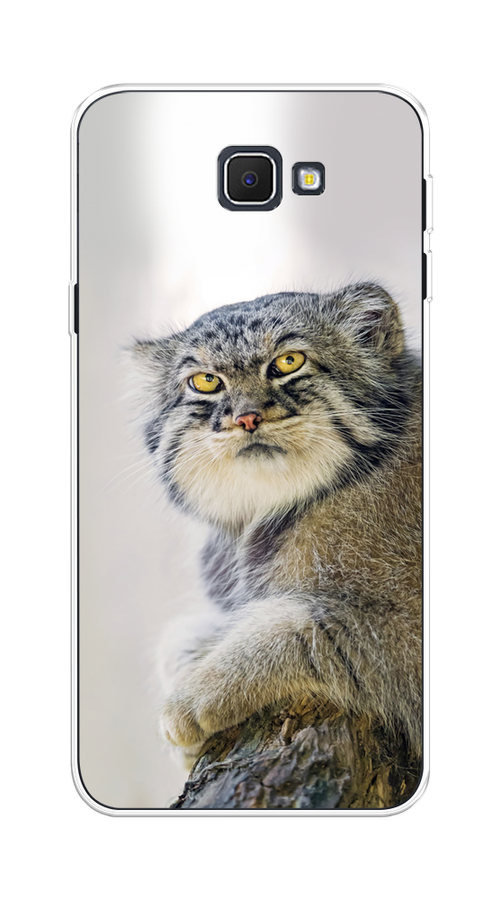 

Чехол на Samsung Galaxy J5 Prime 2016 "Кот манул 1", Серый;белый;желтый, 22950-1