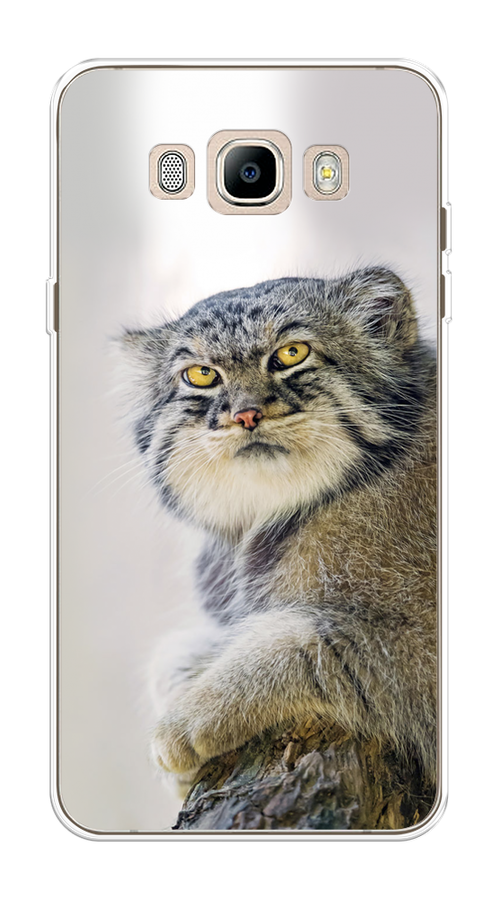 

Чехол на Samsung Galaxy J7 2016 "Кот манул 1", Серый;белый;желтый, 23050-1