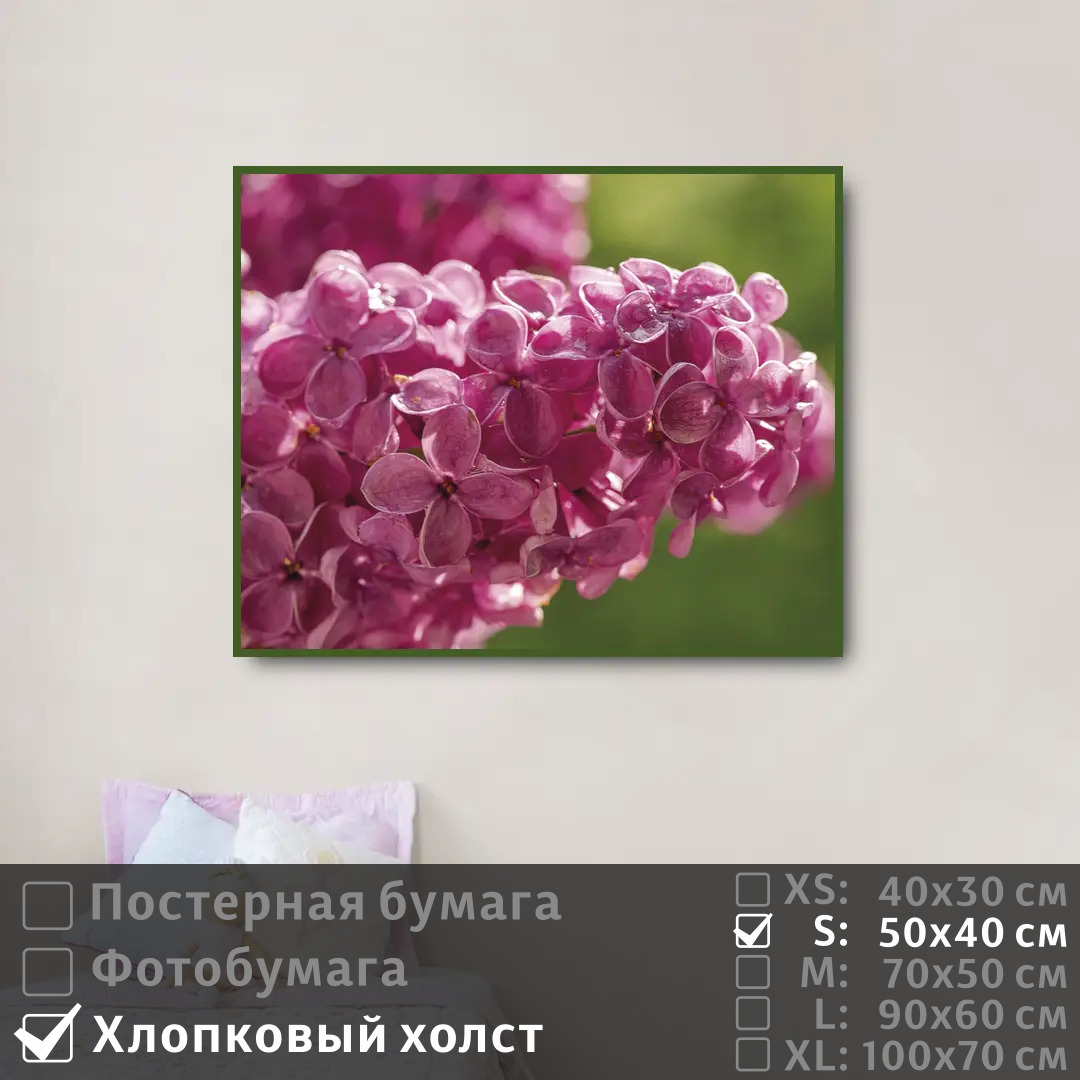 

Постер на холсте ПолиЦентр Ветка сирени с каплями 50х40 см, ВеткаСирениСКаплями