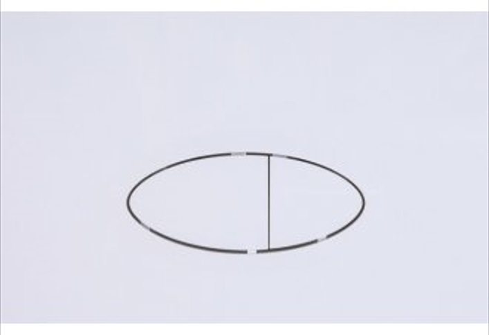 фото Кнопка смыва logan oval двойная, белый