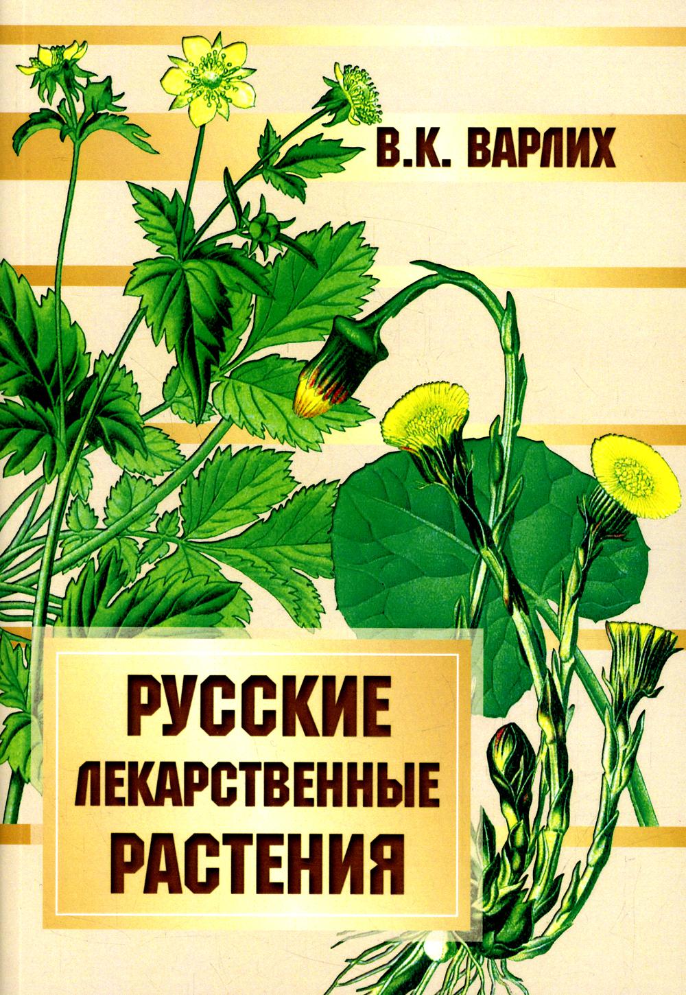 фото Книга русские лекарственные растения амрита