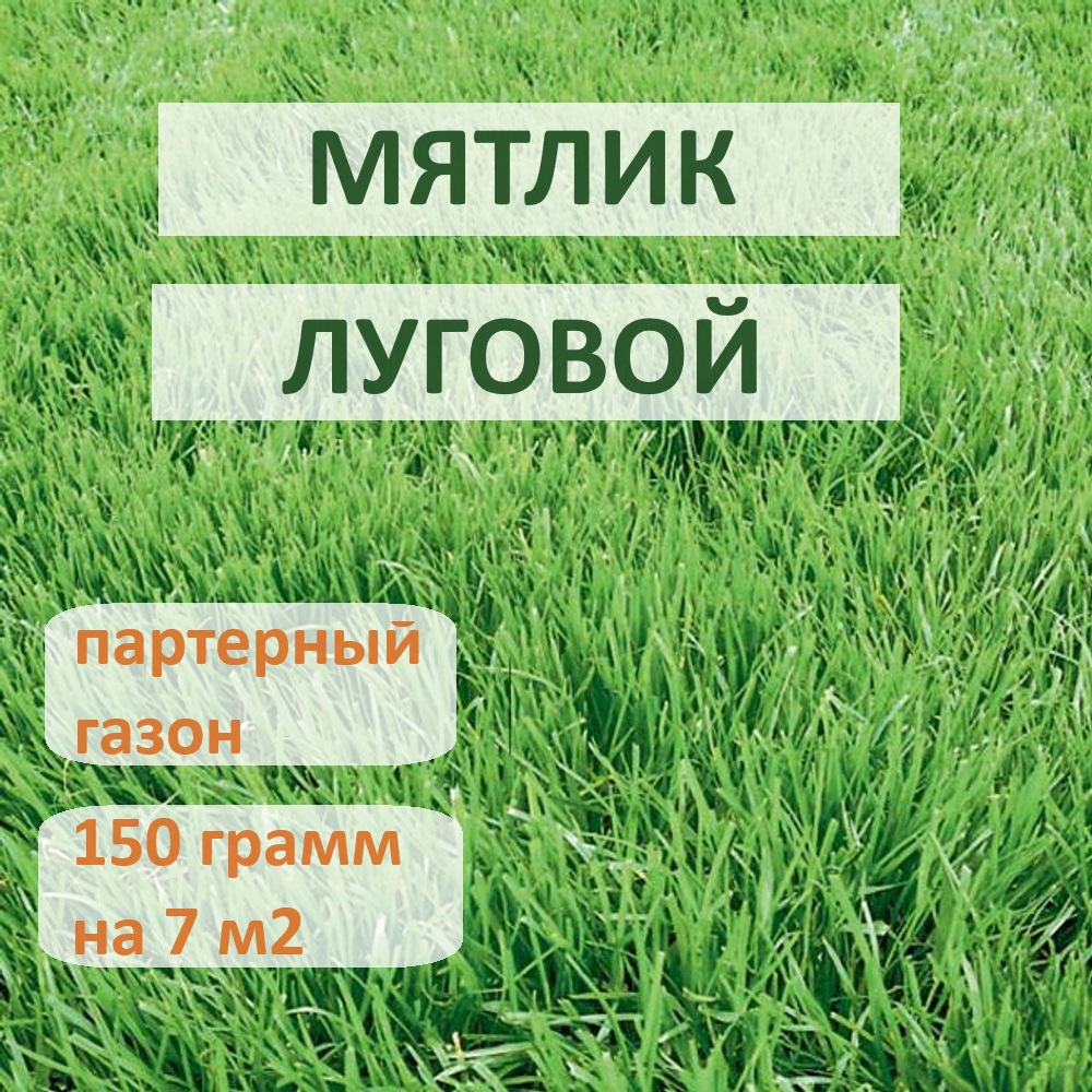 Семена многолетней газонной травы Мятлик луговой ООО Владагрокомплекс 150 грамм