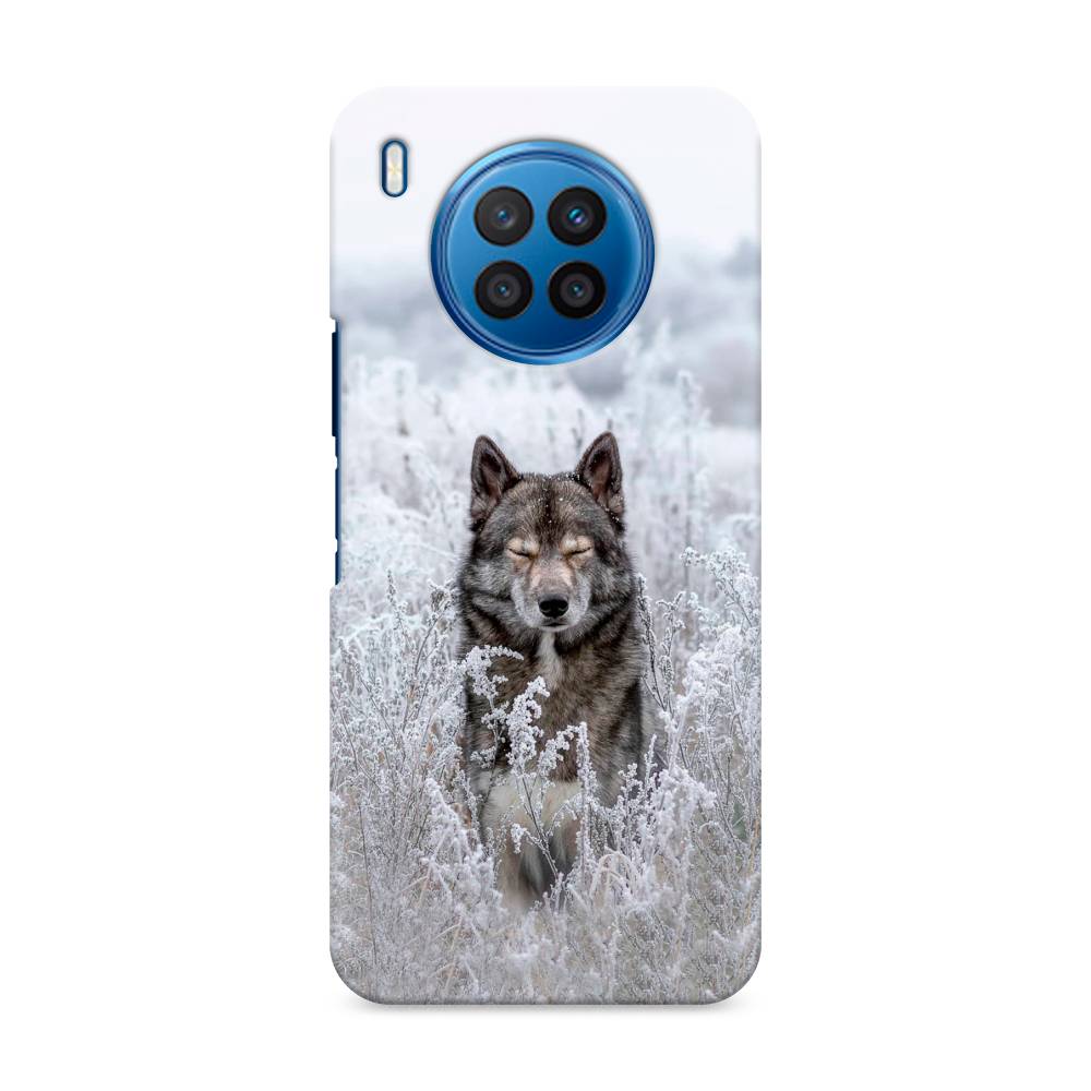 

Чехол Awog "Волк в поле" для Huawei Nova 8i, 6106320-1