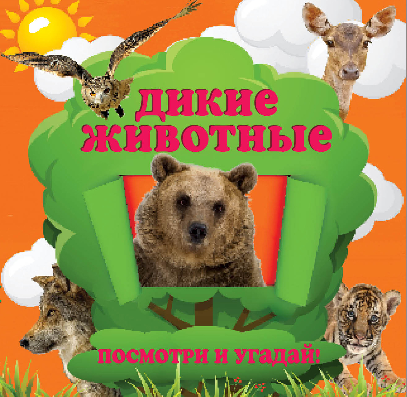

Дикие Животные