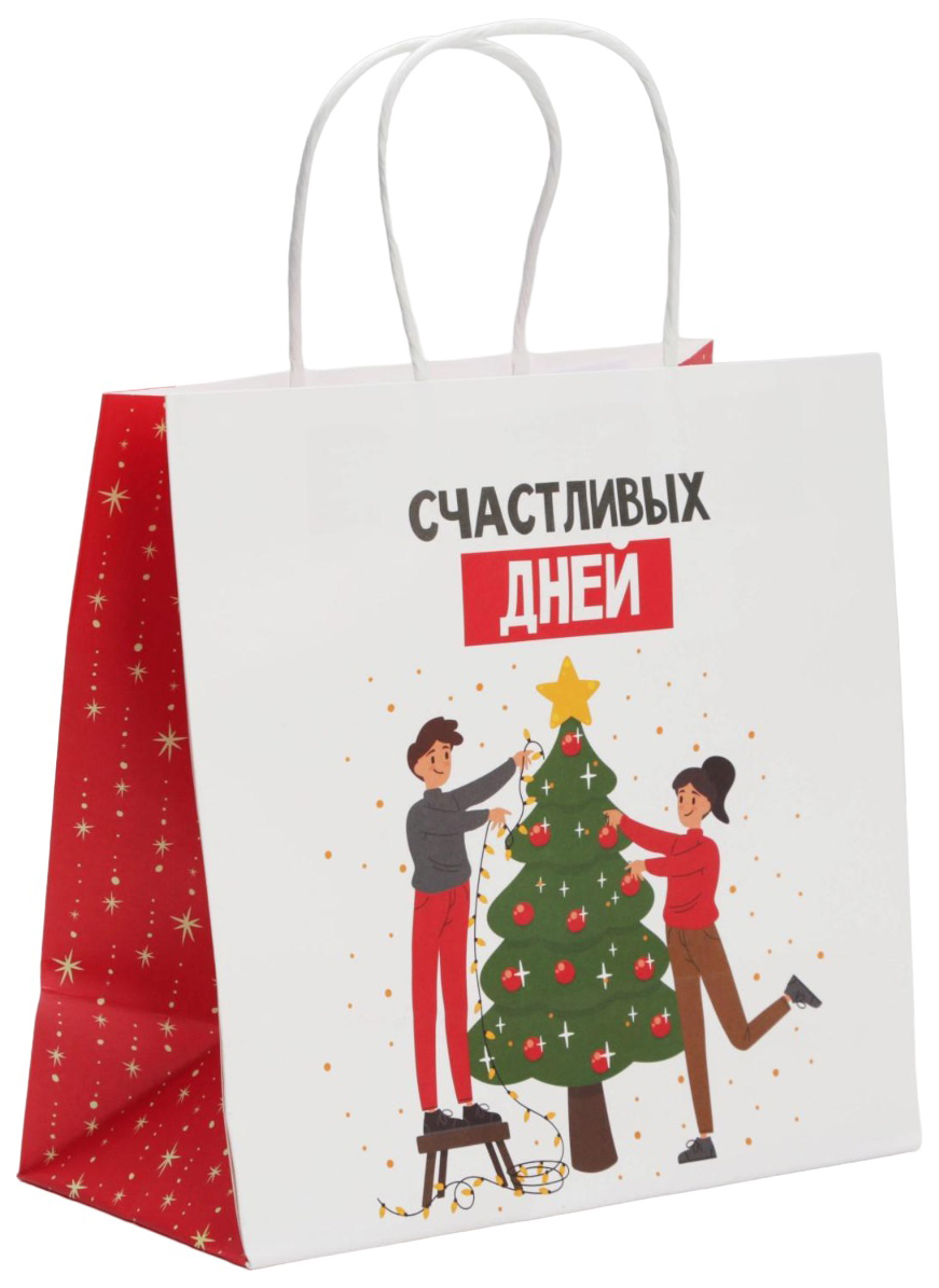 

Пакет подарочный Счастливых дней, 22 х 22 х 11 см, Разноцветный