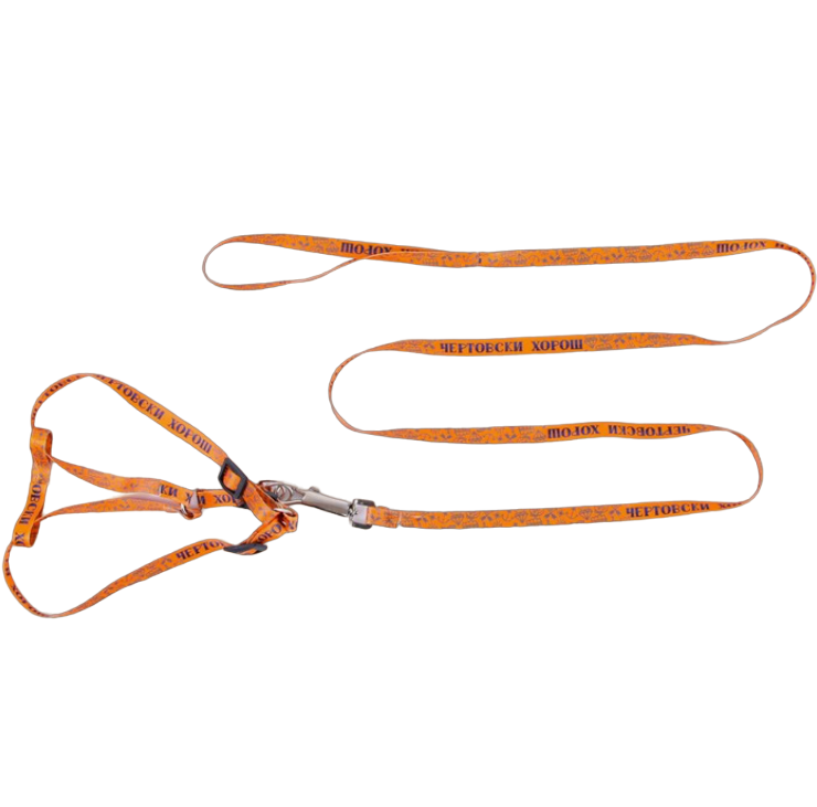 

Амуниция для животныхПушистое счастье Чертовски хорош шлейка 24-36 см, поводок 120х1 см, Оранжевый