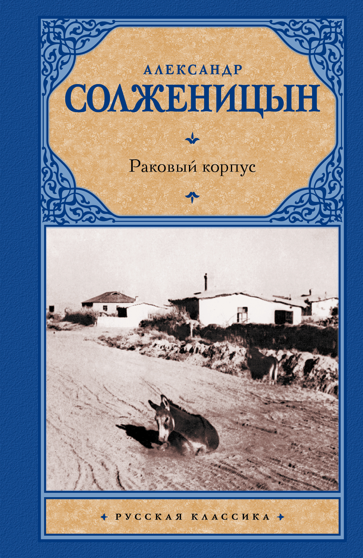 

Раковый корпус