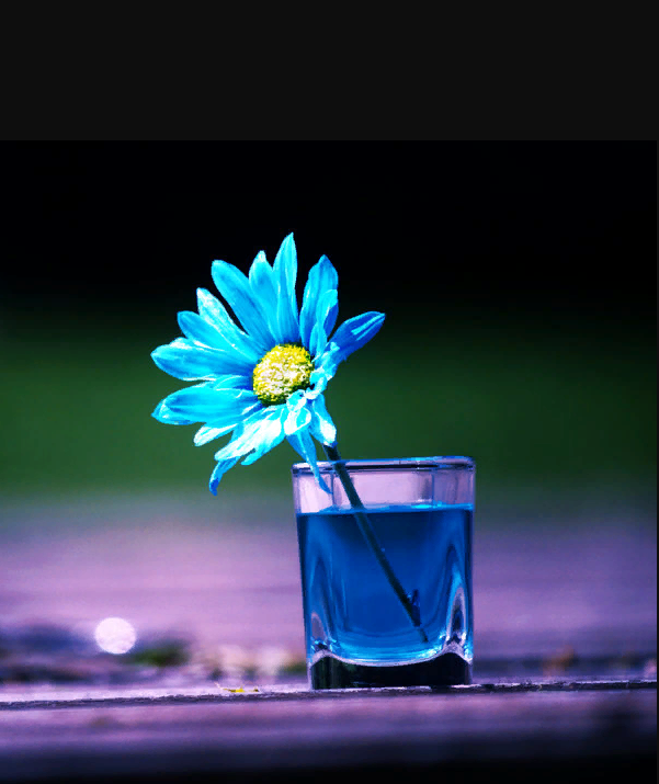 Алмазная мозаика Ripoma Голубой цветок в стакане, 15х20 см