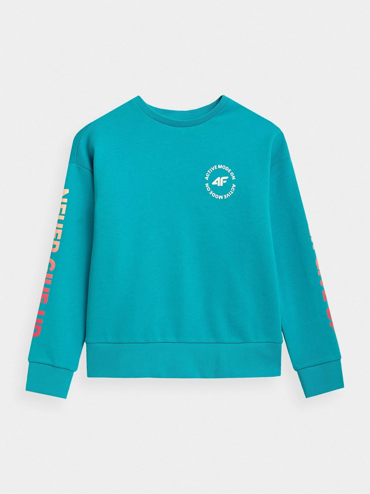 

Свитшот 4F GIRL'S LONGSLEEVES HJZ21-JTSDL001A-33S цв.синий р. 152, Бирюзовый, HJZ21-JTSDL001