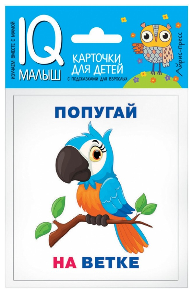 Набор карточек для Детей Айрис-Пресс Умный Малыш. кто Где находится? (25732) лото айрис пресс кто где работает подбираем профессии