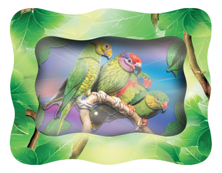 фото Аппликация из картона vizzle объемная картинка - амазонские попугаи
