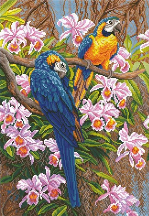 

Алмазная вышивка Паутинка Попугаи, 38x55 см, Попугаи