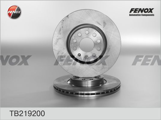 Тормозной диск FENOX передний для Volkswagen Passat 2005- TB219200