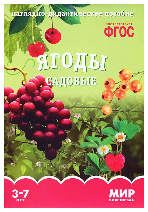 

Фгос Мир В картинках, Ягоды Садовые