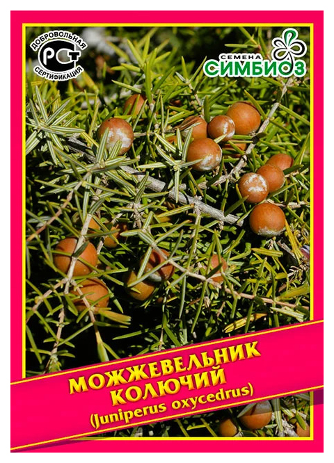 

Семена Можжевельник Колючий, 5 шт, Симбиоз