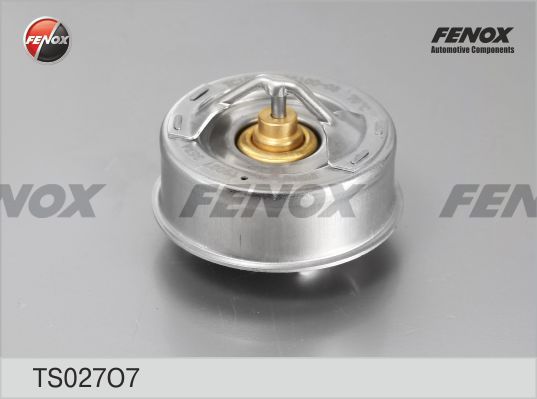 фото Термостат fenox ts027o7