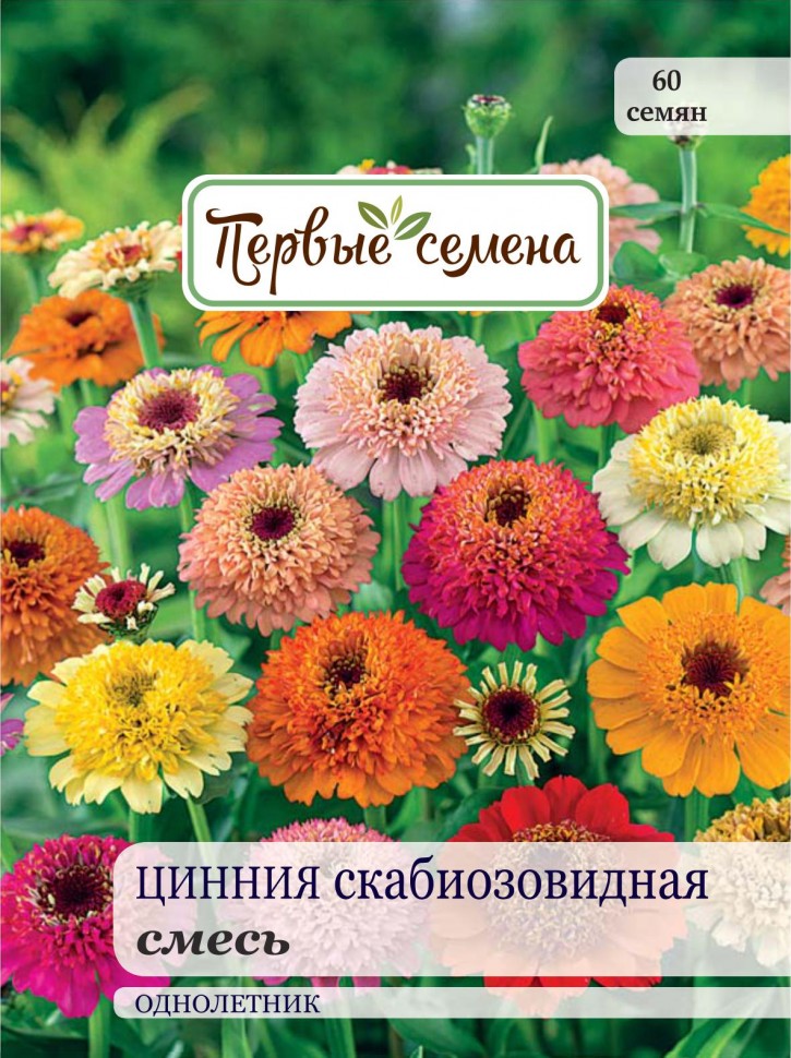 

Семена цветов Первые семена Цинния Скабиозовидная, смесь, 0,5 г