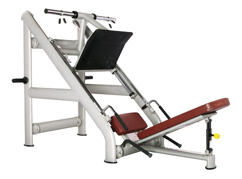 

Жим ногами Bronze Gym H-022, H-022