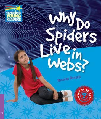 

Why is it so 4 Why Do Spiders Live in Webs