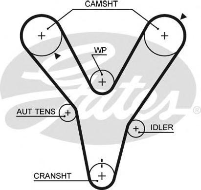 фото Ремень gates 5584xs