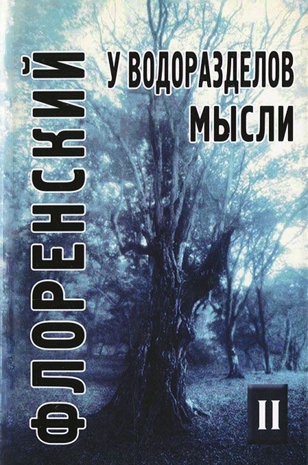 фото Книга у водоразделов мысл и том 2 академический проект