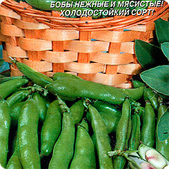 

Семена Бобы Русские Черные, 5 шт, Плазмас, 111589