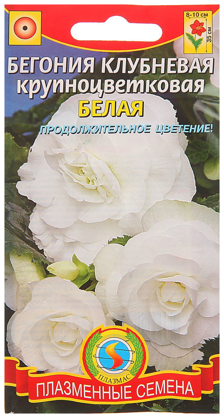 

Семена Бегония клубневая крупноцветковая Белая, 5 драже Плазмас