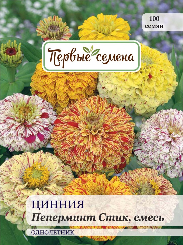 

Семена цветов Первые семена Цинния Пеперминт Стик, смесь, 0,5 г