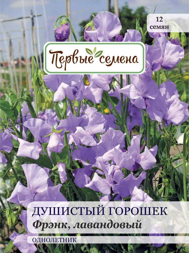 

Семена Первые семена Душистый горошек Фрэнк, лавандовый, 1 г