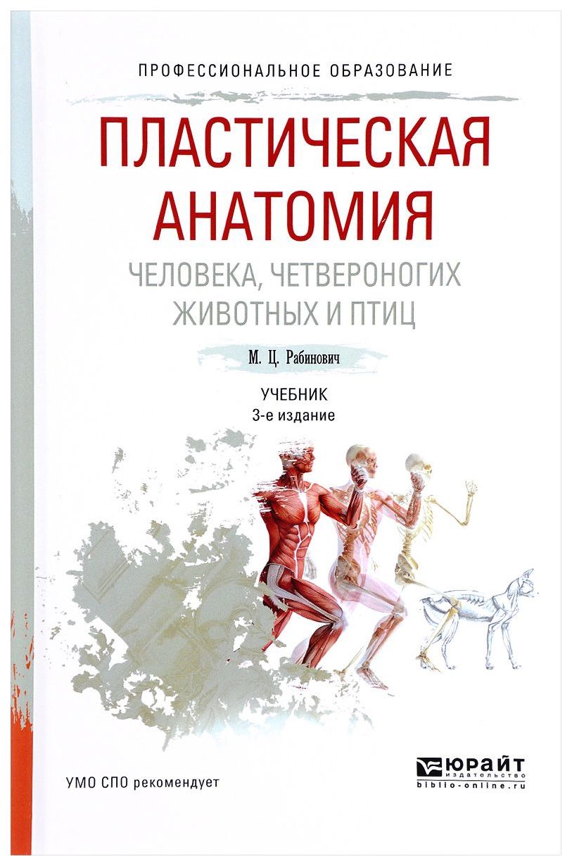 Книги для художников. Книга пластическая анатомия Рабинович. Книга по анатомии Рабинович. Учебник по пластической анатомии Рабинович. Пластическая анатомия четвероногих животных и птиц Рабинович.