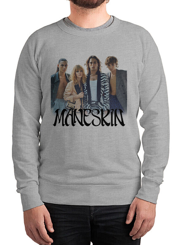 

Свитшот мужской Dream Shirts Maneskin серый 56 RU, Maneskin